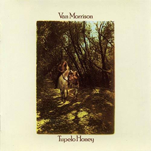 Tupelo honey audio - cd, by